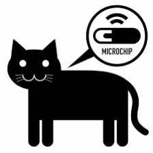 cat microchip