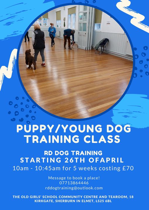 Puppy class 26 April