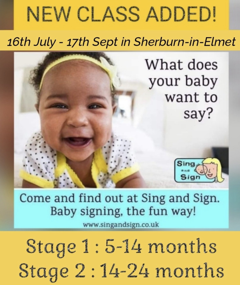 Sing and Sign a fun educational session for babies and young children